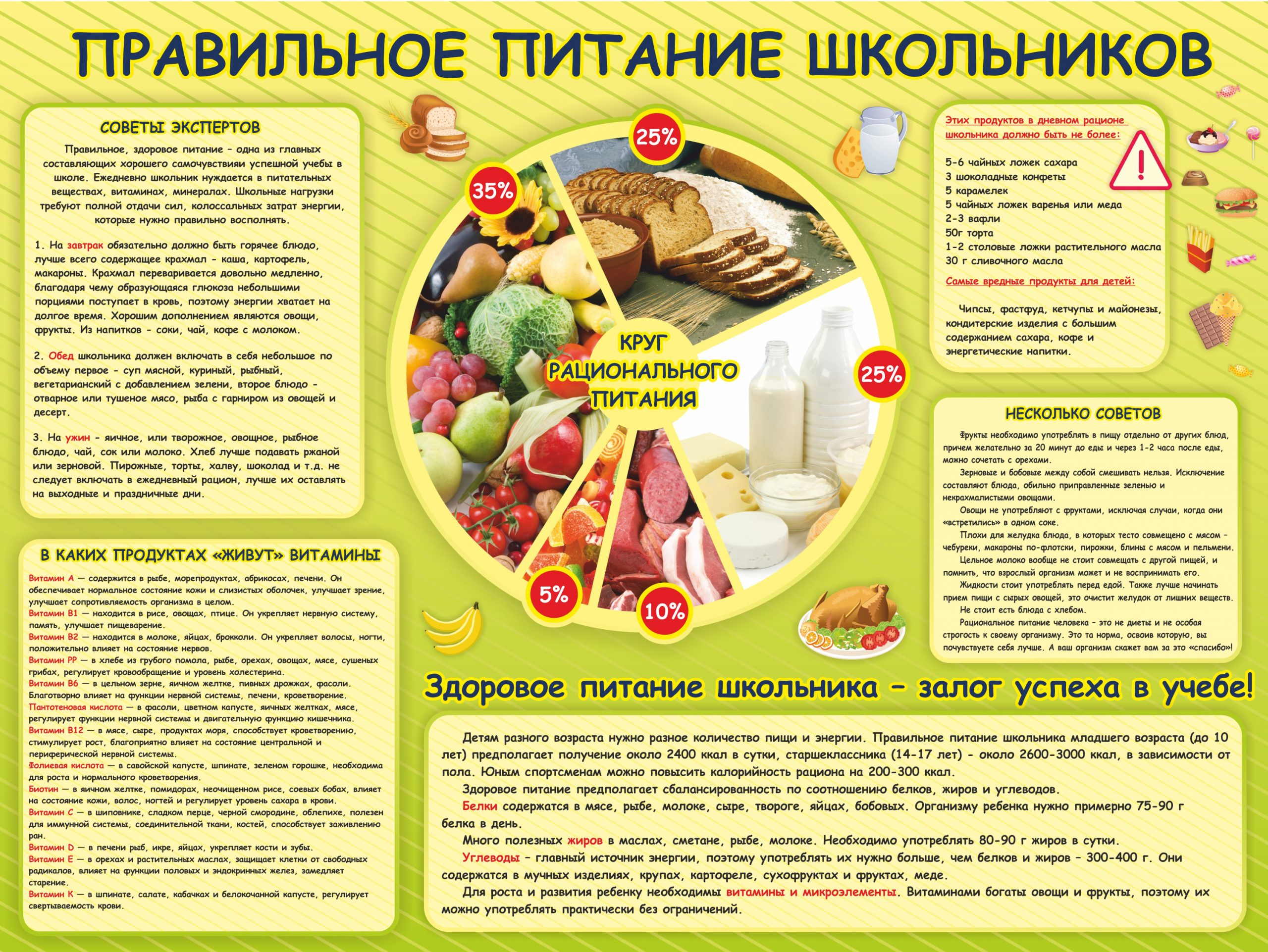 Программа Основы Правильного Питания